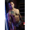 Breedwell Slip Retro Remix Gris